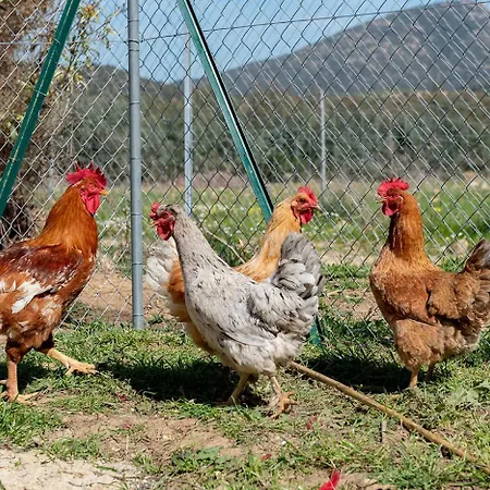 Beth La Casa Della Luna