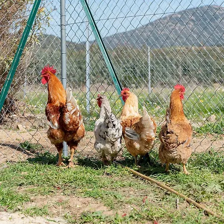 Beth La Casa Della Luna Konukevi 3*